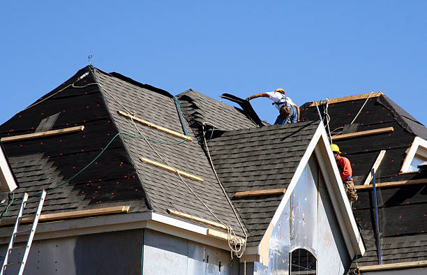 Best Roof Moss and Algae Removal  in Belle Fourche, SD